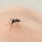 What Insects Are Biting You As You Sleep?