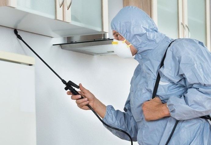 What Are the Best Methods of Pest Control