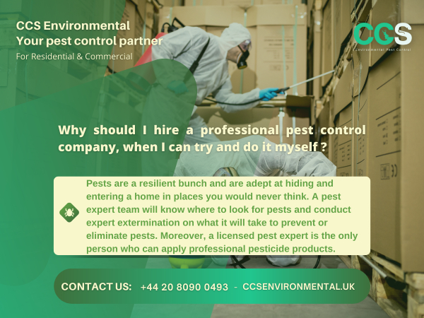 Why should I hire a professional pest control company, when I can try and do it myself?