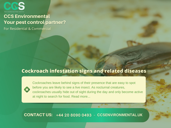 Cockroach infestation signs and related diseases